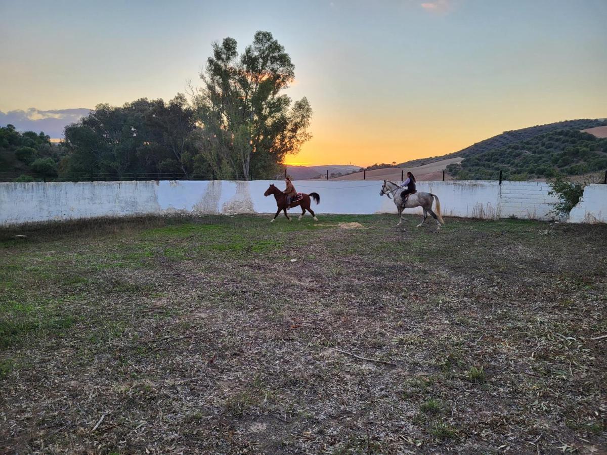 Hacienda Las Lumbreras Montellano Εξωτερικό φωτογραφία