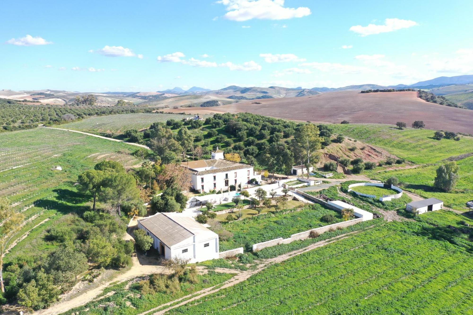 Hacienda Las Lumbreras Montellano Εξωτερικό φωτογραφία